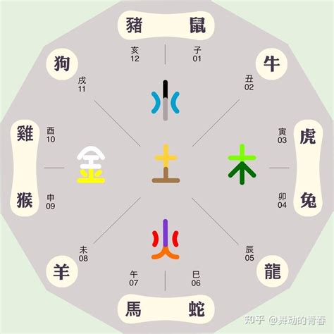 生肖龍五行|生肖屬龍人的五行與財運